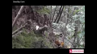 old guy having sex in forest with youngstar