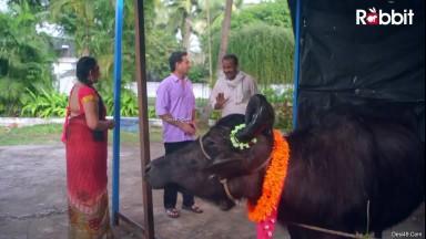 Today Exclusive -Bhains ki Vidai Episode 4