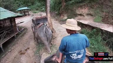 Elephant riding in Thailand with teen couple who had sex afterwards